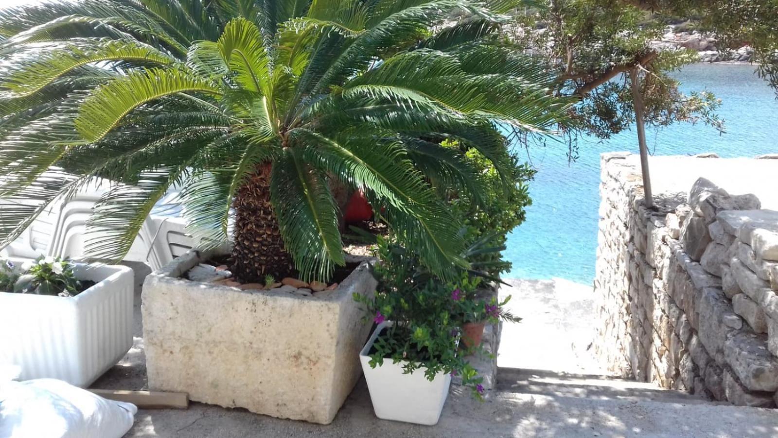 Apartmani Paulo Vis Exteriör bild